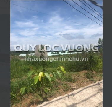 Bán 10ha đất xây xưởng tại huyện Xuân Lộc, Đồng Nai