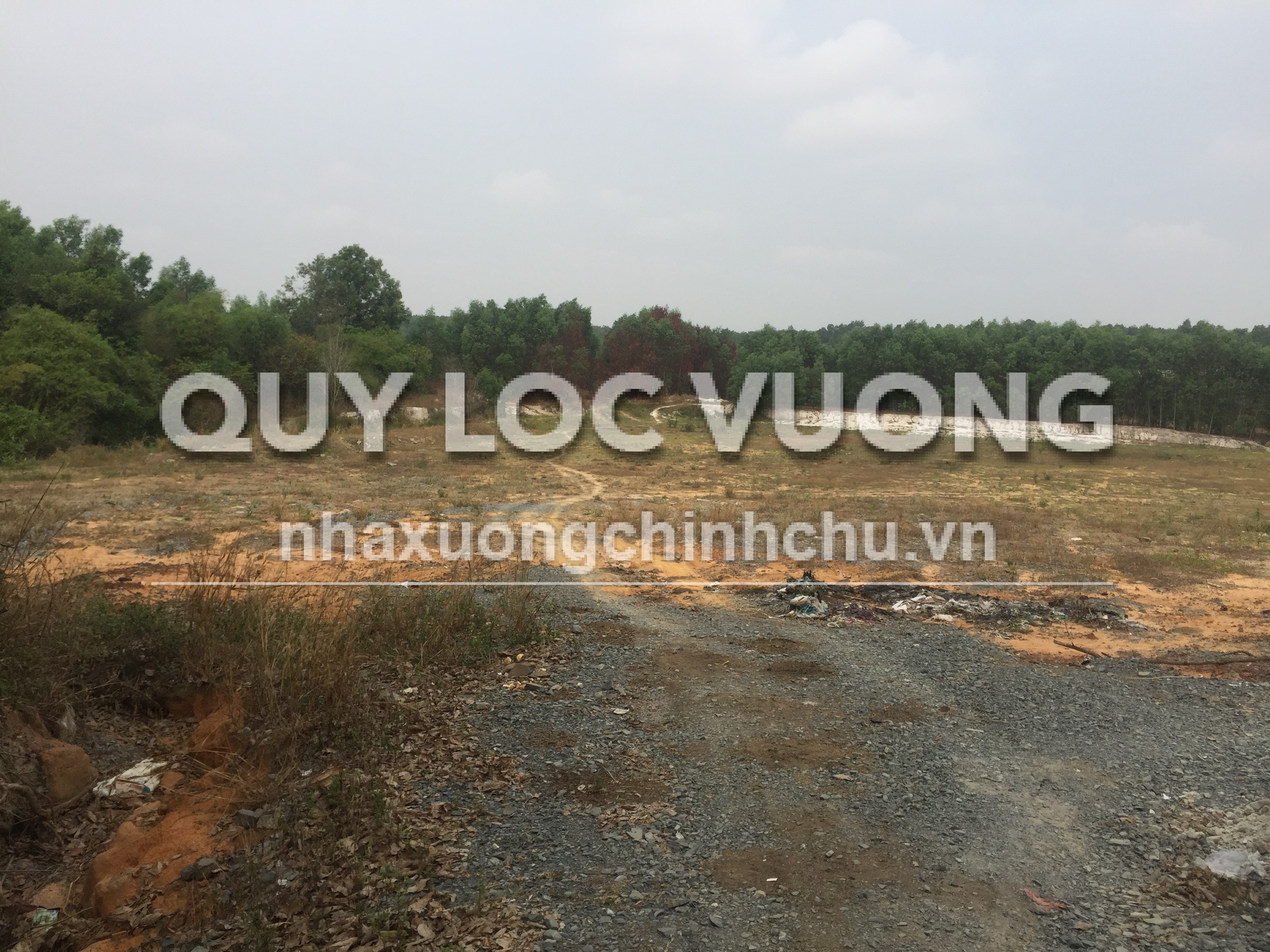 Bán đất trồng cây lâu năm 118.000m2 ở Uyên Hưng, Tân Uyên, 2.8 triệu/m2