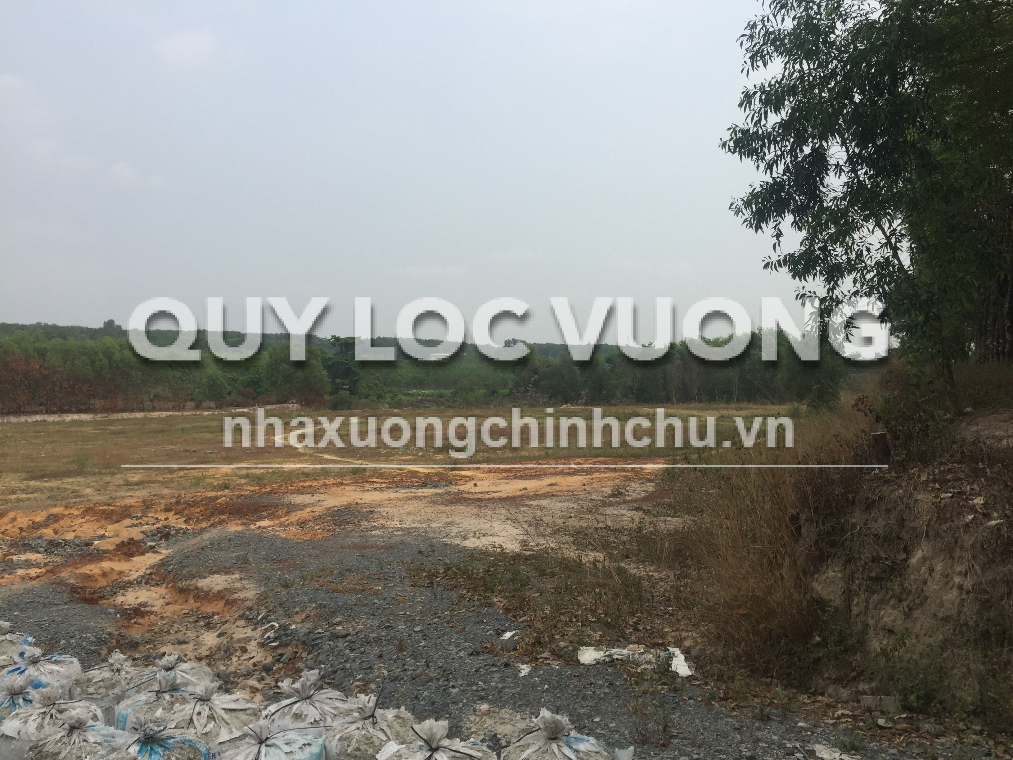 Bán đất trồng cây lâu năm 118.000m2 ở Uyên Hưng, Tân Uyên, 2.8 triệu/m2