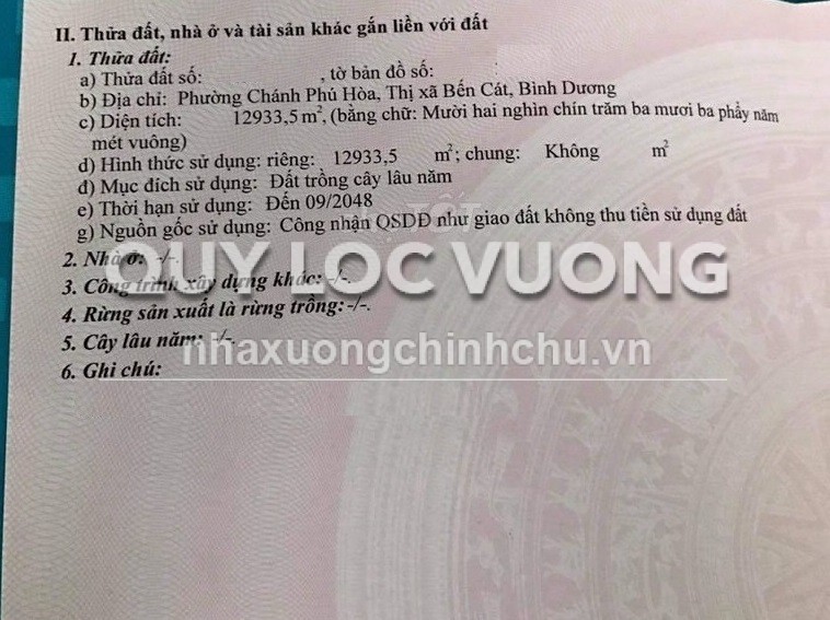 Bán đất trồng cây lâu năm 12.933m2 ở phường Chánh Phú Hòa, Bến Cát