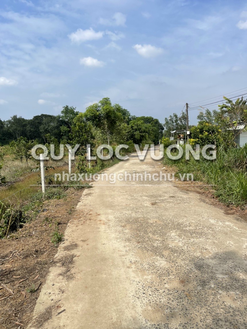 Bán đất trồng cây lâu năm 21.000m2 ở xã Bình An, Long Thành, Đồng Nai