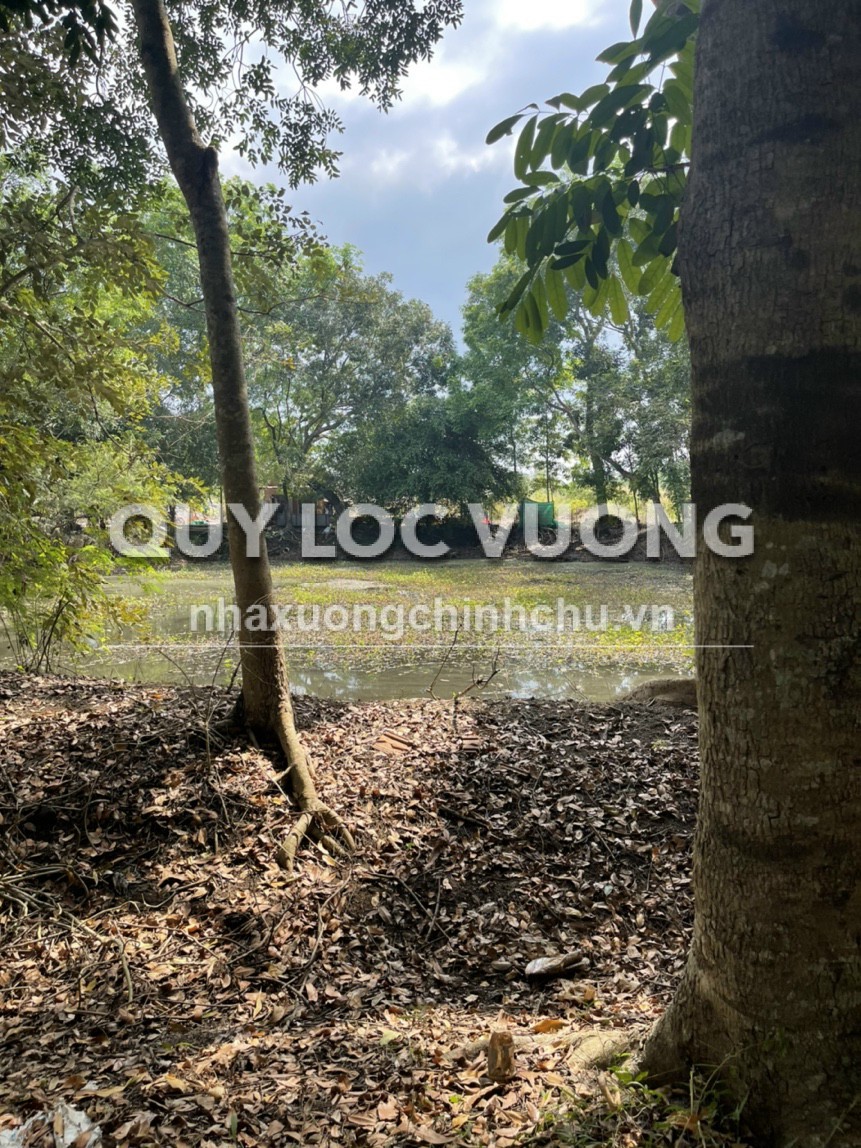 Bán đất trồng cây lâu năm 21.000m2 ở xã Bình An, Long Thành, Đồng Nai