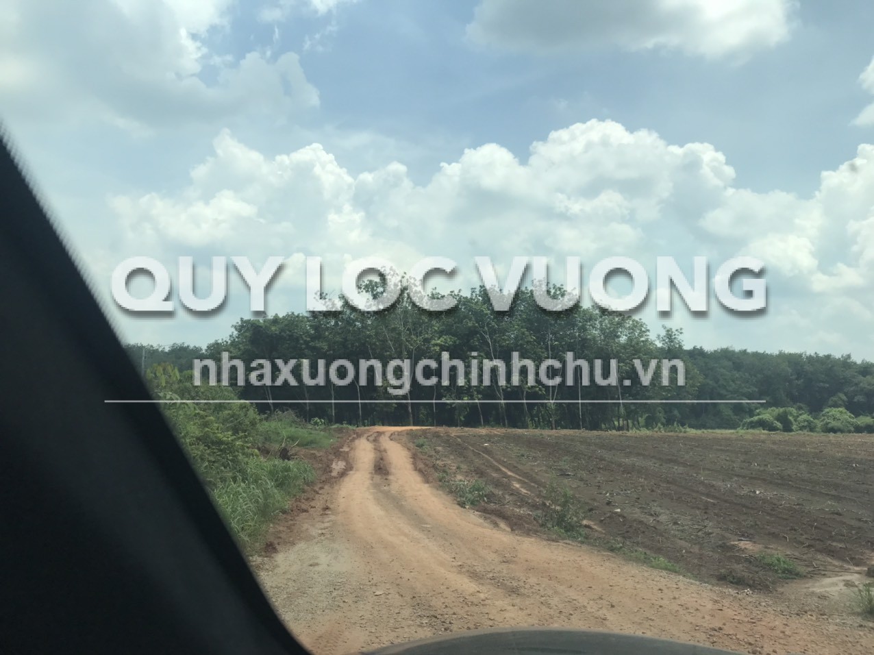 Bán đất trồng cây lâu năm 5.163m2 ở ấp Tân Thịnh, An Bình, Phú Giáo