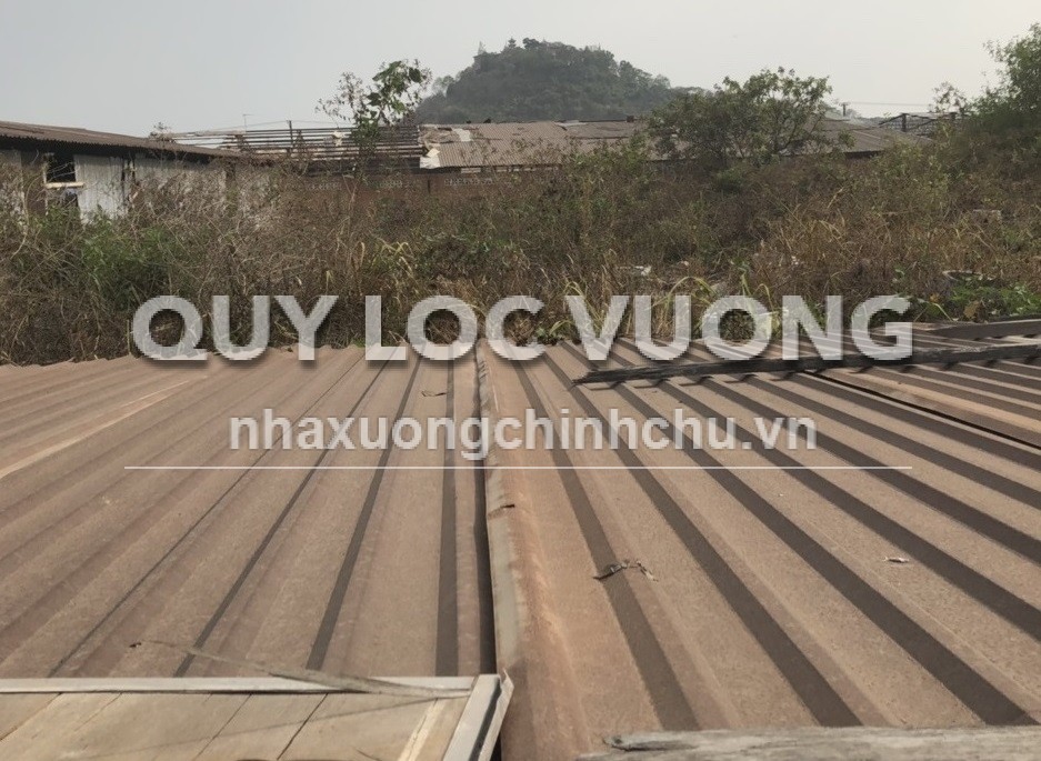 Bán đất trống xây xưởng 38.595m2 ở phường Phước Tân, Biên Hòa, 120 tỷ