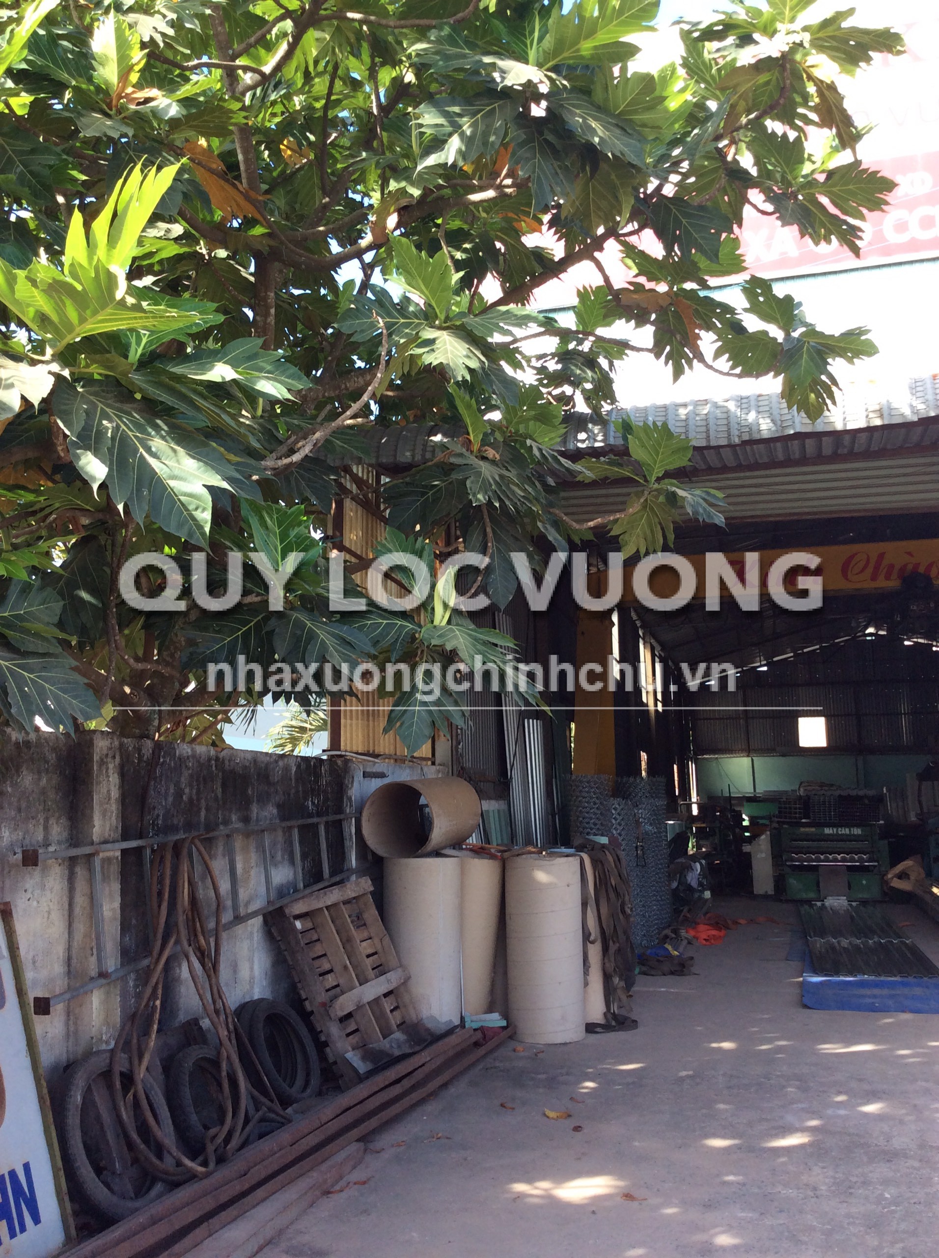 Bán xưởng sản xuất tôn, thép 840m2 ở Bình Mỹ, Tân Uyên, giá 15 tỷ