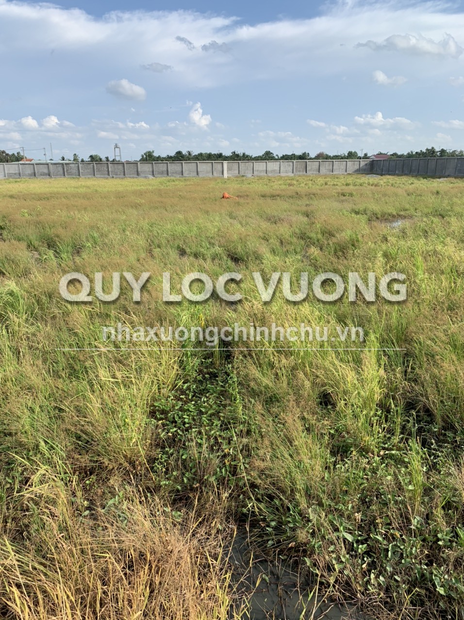 Cho thuê nhà xưởng xây mới 5.000m2 tại huyện Thủ Thừa, Long An