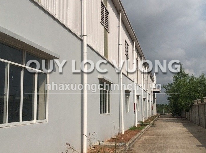 Cho thuê xưởng 4.000m2 trong KCN An Phước, Long Thành, giá 4.2USD/m2