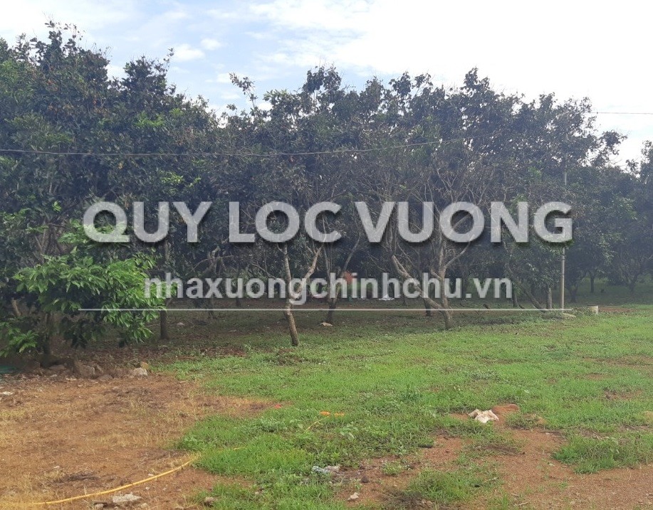 Bán đất trống 33.400m2 ở sát khu đô thị Suối Son, Biên Hòa, giá 57 tỷ