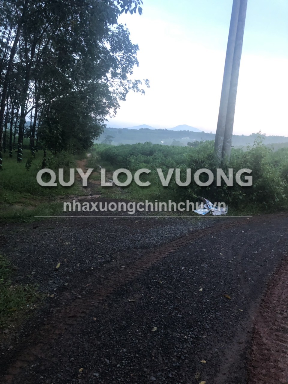 Cho thuê xưởng 1.000m2 ở xã An Viễn, Trảng Bom, ĐN, giá 50 triệu/tháng