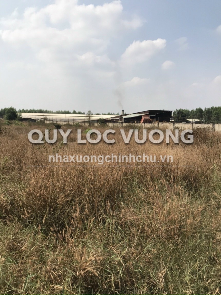 Bán đất trồng cây lâu năm 6.880m2 ở Bắc Sơn, Trảng Bom, ĐN, 21 tỷ