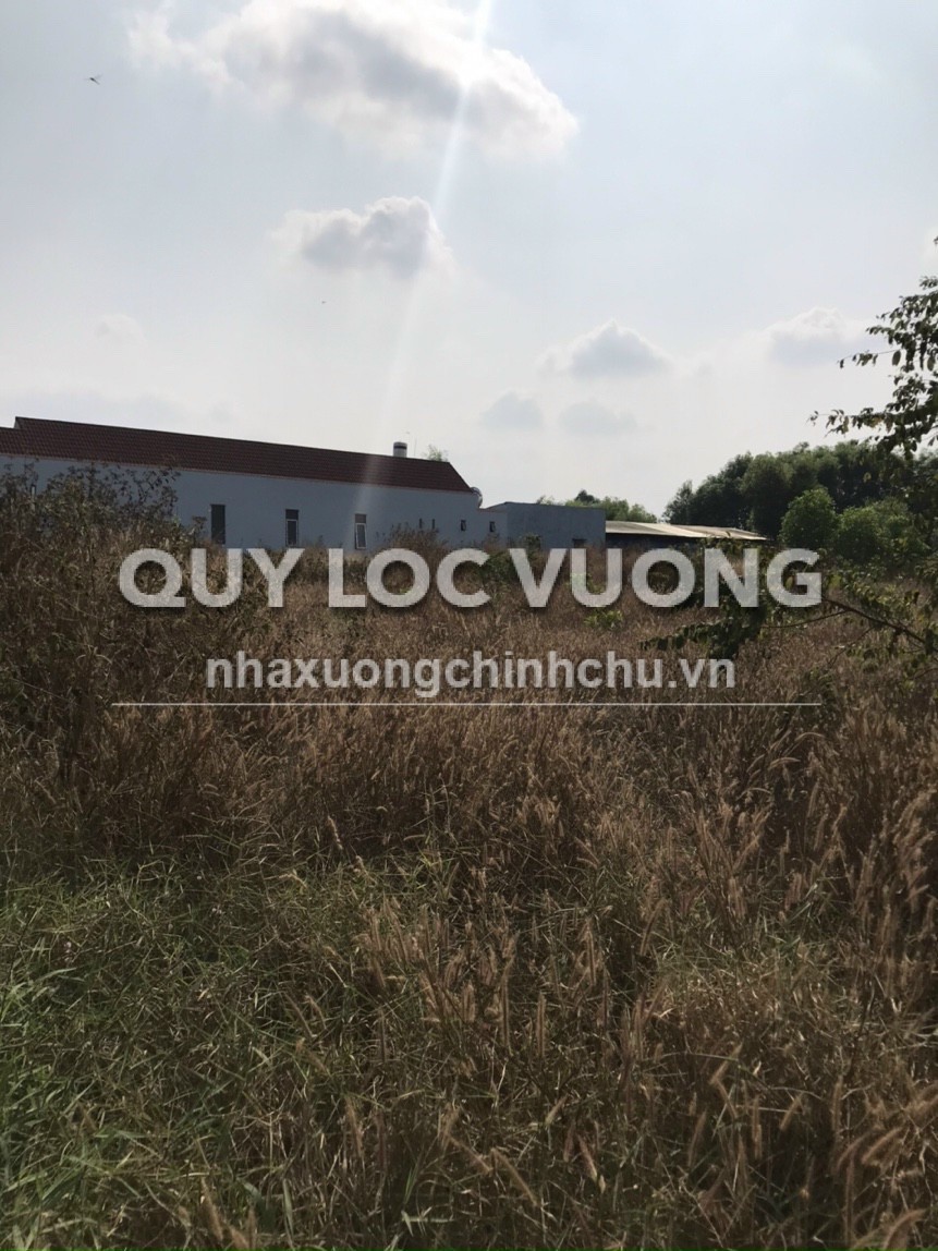 Bán đất trồng cây lâu năm 6.880m2 ở Bắc Sơn, Trảng Bom, ĐN, 21 tỷ