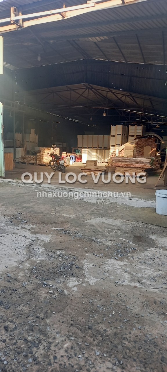 Bán nhà xưởng 392m2 ở Đông Chiêu, Tân Đông Hiệp, Dĩ An, 9 tỷ
