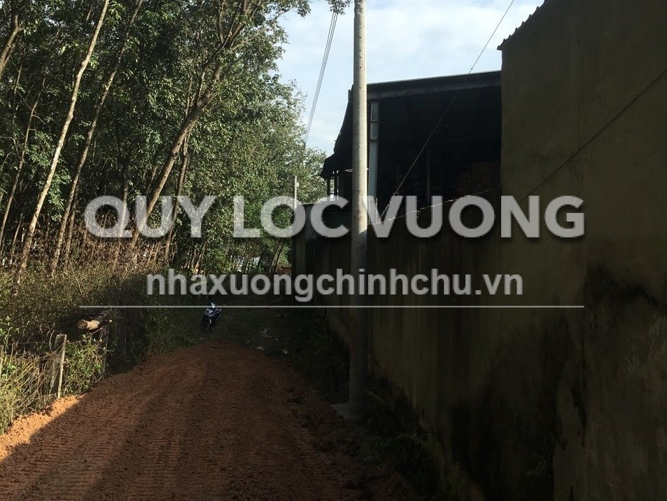 Bán đất rộng 22.000m2 ở Phước Hòa, Phú Giáo, BD, giá 23 tỷ/ha