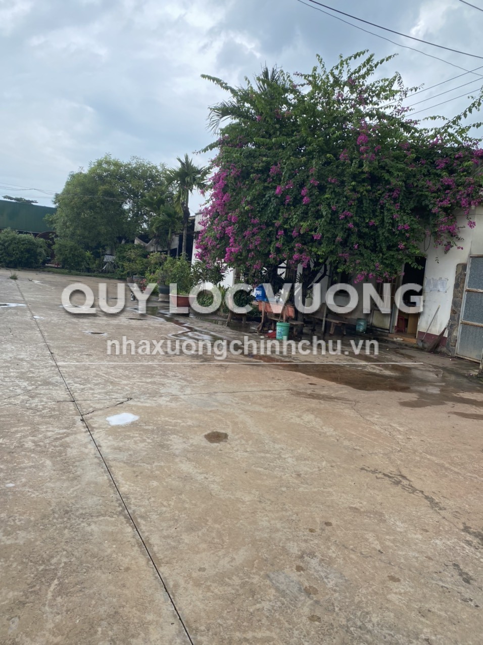 Bán đất và nhà xưởng 10.000m2 ở Bắc Sơn, Trảng Bom, ĐN, giá 60 tỷ
