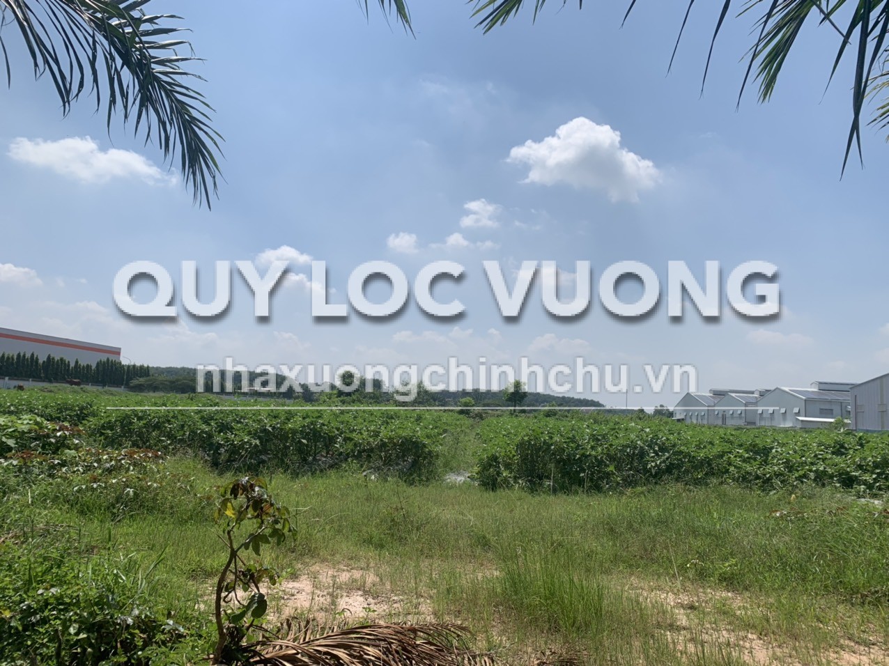 Bán đất trống xây xưởng 36.157m2 trong KCN Sóng Thần 3, BD, 250USD/m2