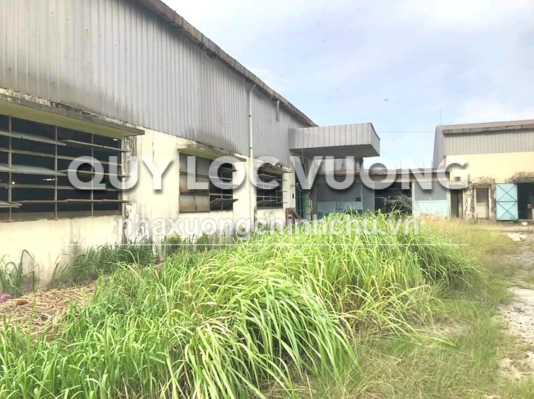 Bán đất và xưởng 9.600m2 ở mặt đường lớn Bình Mỹ, Củ Chi, HCM, 60 tỷ