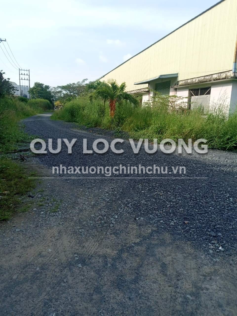 Bán đất và xưởng KV 12.676m2 ở Lương Bình, Bến Lức, Long An, 120 tỷ