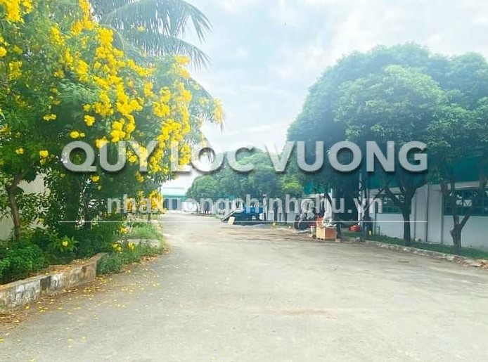 Cho thuê xưởng KV 27.000m2 ở An Bình, Dĩ An,Bình Dương, 4 USD/m2