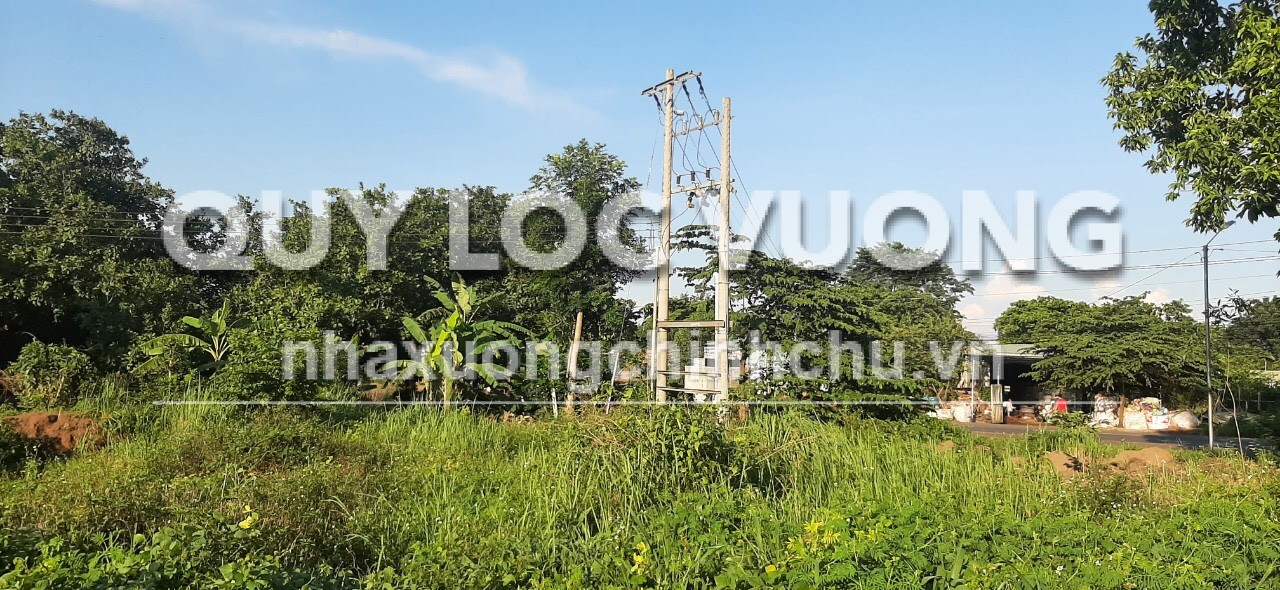 Bán xưởng 2.000m2 ở Phước Long, Bình Phước, 10 tỷ