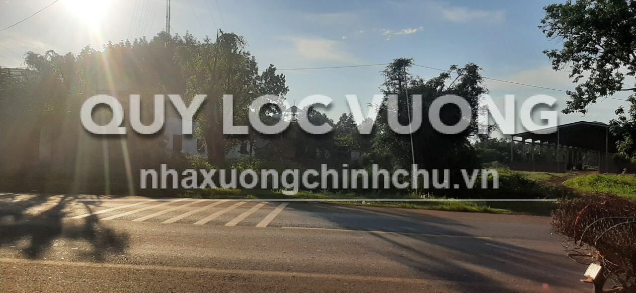 Bán xưởng 2.000m2 ở Phước Long, Bình Phước, 10 tỷ