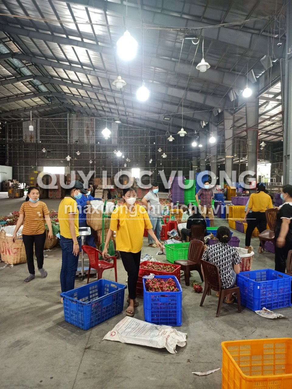 Cho thuê nhà xưởng 4.000m2 ở Tân An, Long An, 50.000/m2
