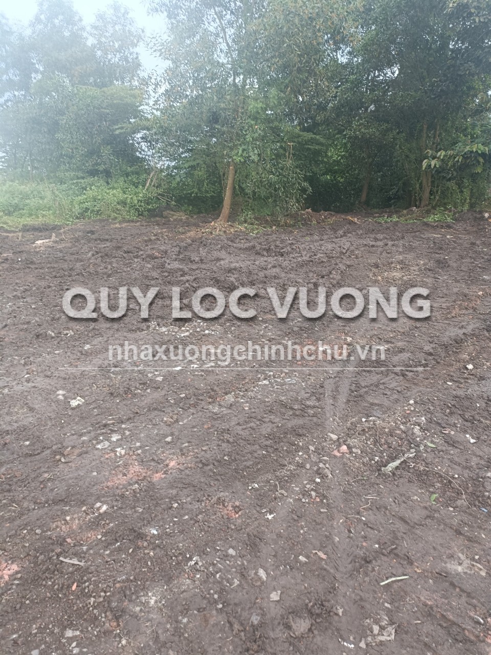 Bán/cho thuê đất 75.000m2 ở chợ Long Thành, Biên Hòa, ĐN, 6 triệu/m2