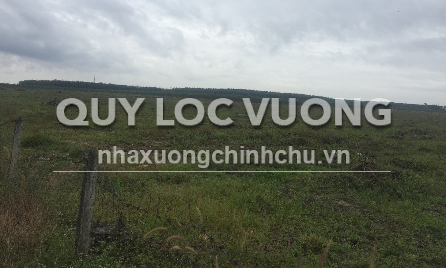 Bán/cho thuê xưởng KV 20.500m2 ở Trừ Văn Thố, Bàu Bàng, Bình Dương