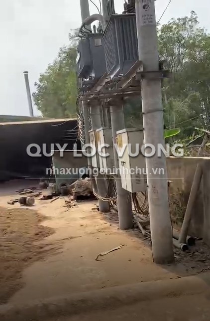 Bán xưởng sản xuất bột cưa 5.238m2 ở Tân Hiệp, Phú Giáo, Bình Dương