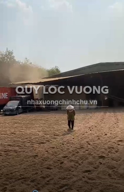 Bán xưởng sản xuất bột cưa 5.238m2 ở Tân Hiệp, Phú Giáo, Bình Dương
