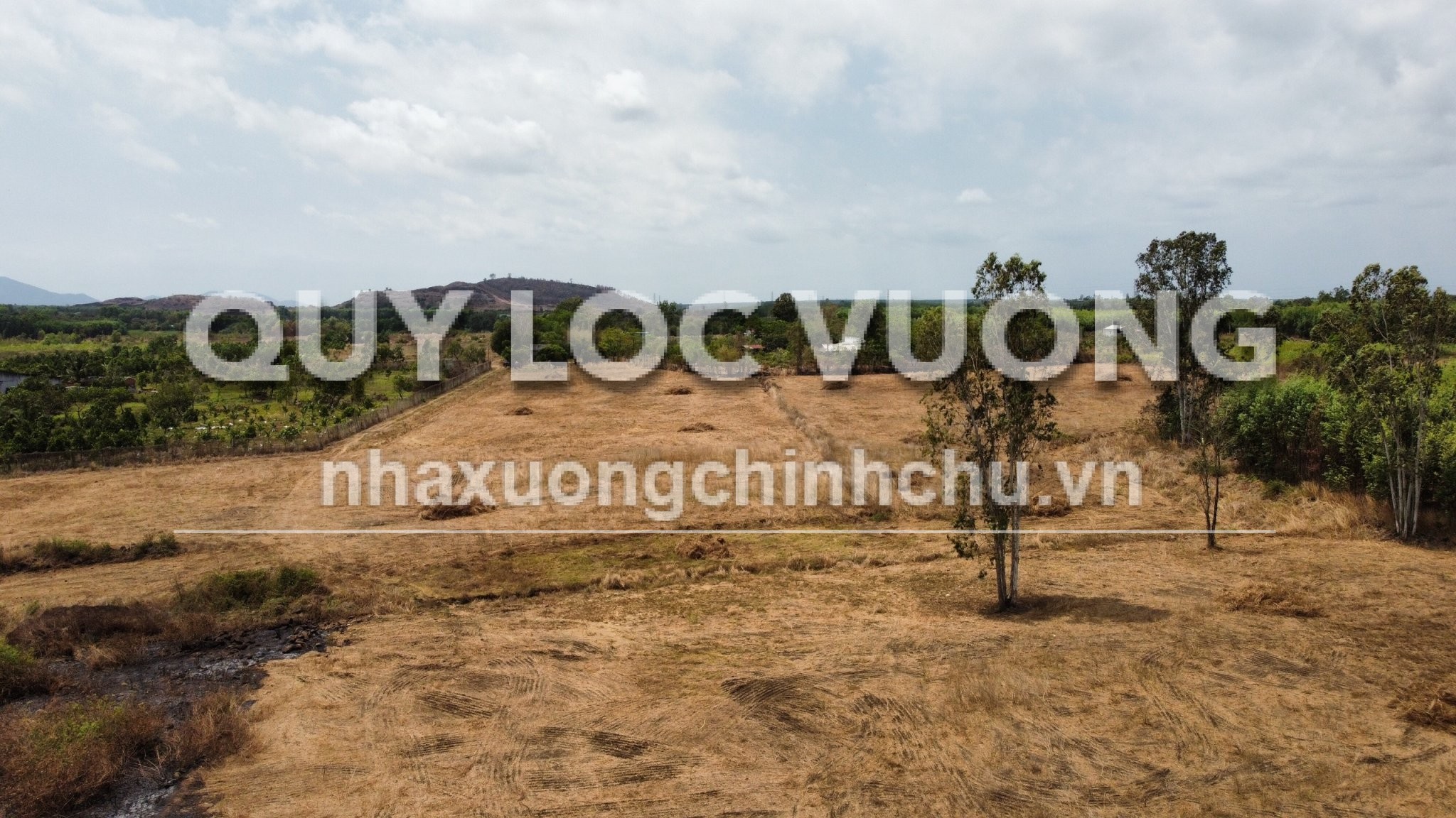 Bán đất trống 24.000m2 ở Long Tân Đất Đỏ, Bà Rịa Vũng Tàu, 16.9 tỷ