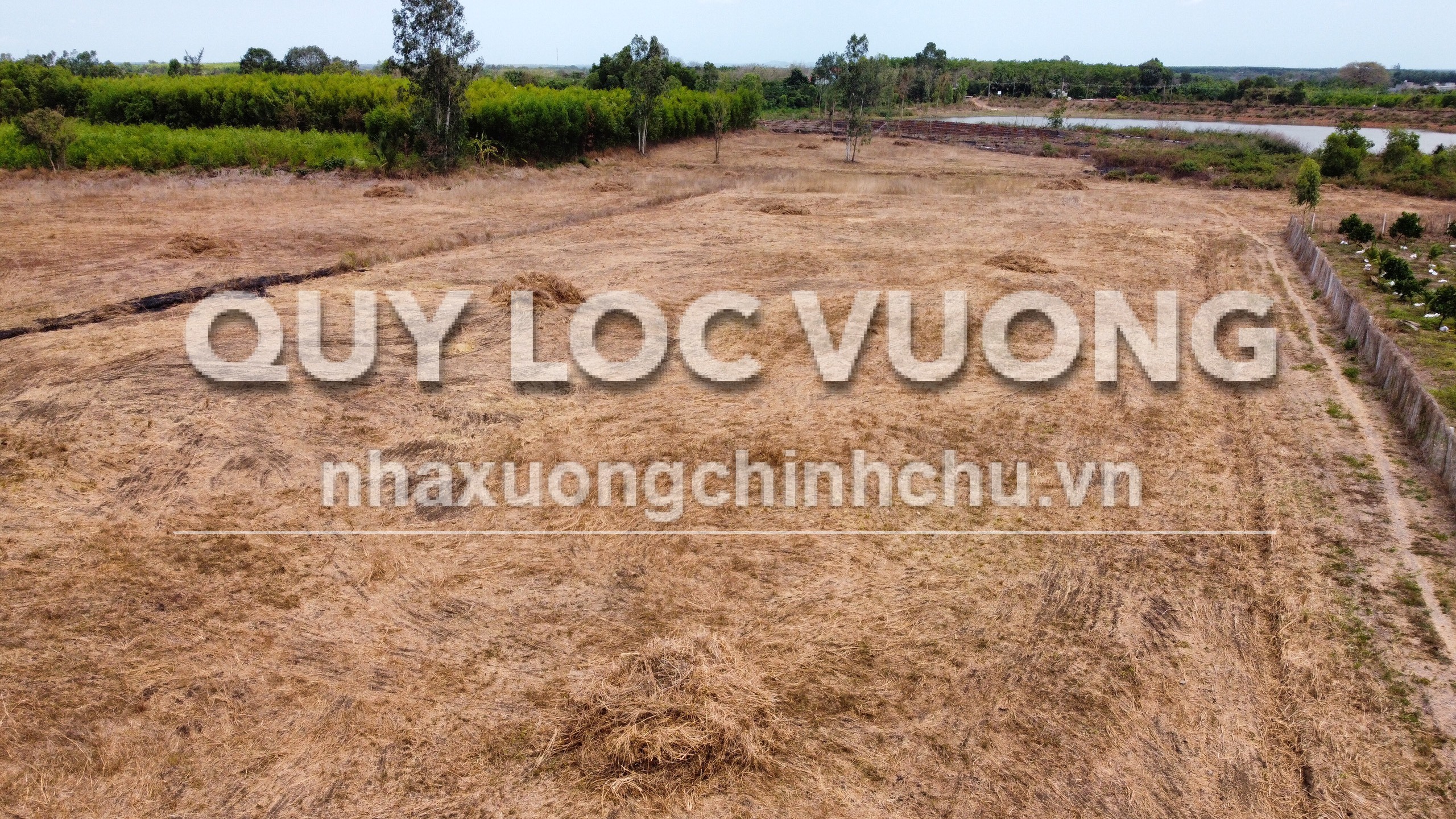 Bán đất trống 24.000m2 ở Long Tân Đất Đỏ, Bà Rịa Vũng Tàu, 16.9 tỷ