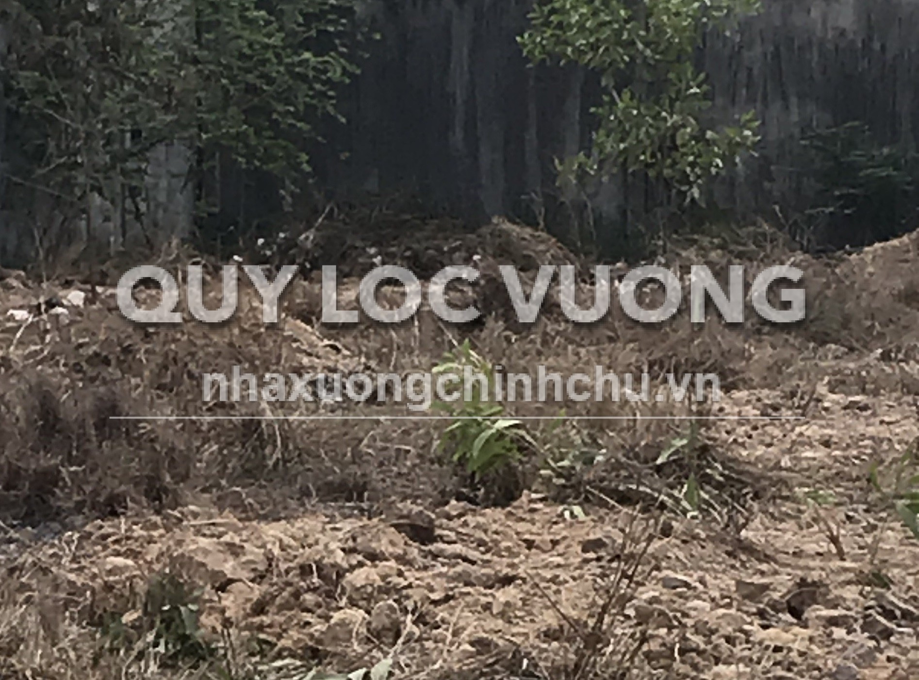 Bán đất 14.133m2 ở xã Bình Sơn, Long Thành, Đồng Nai, 3.5 triệu/m2