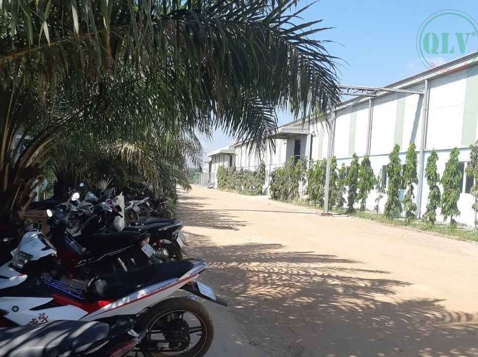 Bán đất và xưởng gỗ 275.2752m2 ở Xuân Lộc, Đồng Nai, 5.9 tỷ/ha
