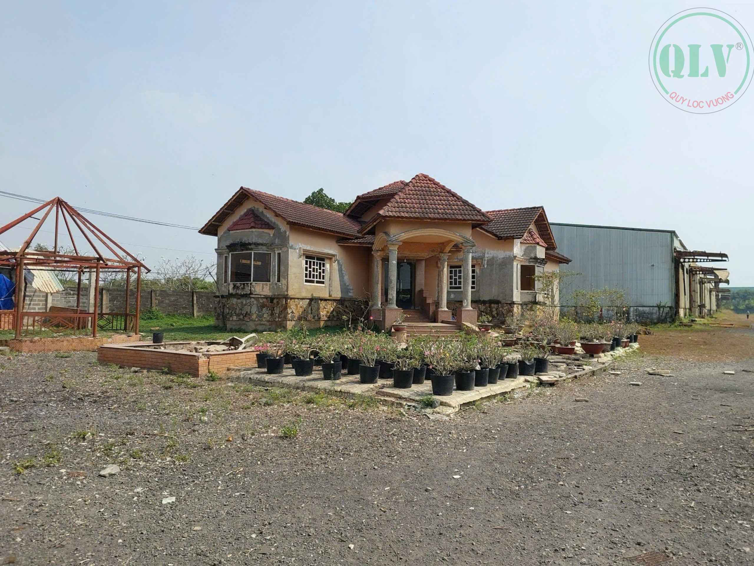 Bán đất xây xưởng 24.736m2 ở mặt tiền DT824, Đức Hòa, Long An