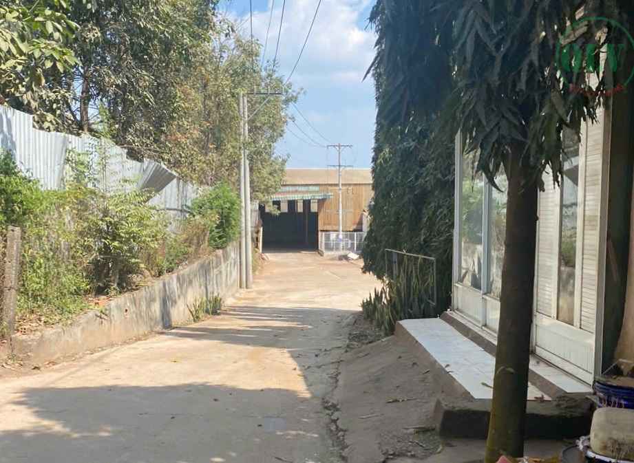 Cho thuê xưởng 6.500m2 và 5.500m2 ở Phước Hòa, Bình Dương, 1.9 USD/m2