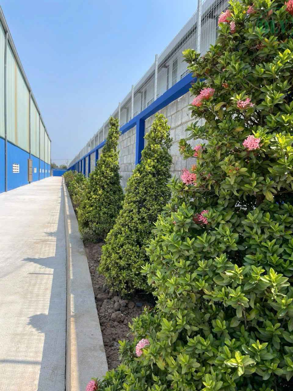 Bán/cho thuê xưởng KV 6.100m2 ở KCN Tân Phú Trung, Củ Chi, HCM, 45 tỷ 