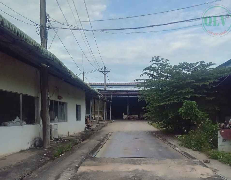 Cho thuê 2 xưởng tổng dt 11.500m2 ở Long Nguyên, Bàu Bàng, BD, 2.2 USD/m2