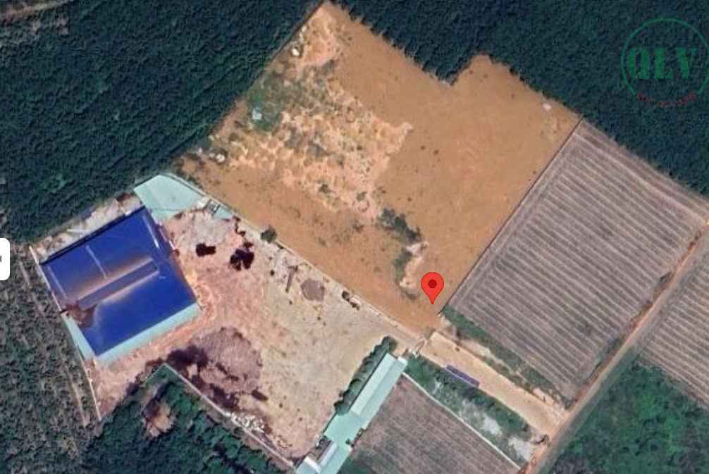 Cho thuê xưởng 4.802m2 và 4.697m2 Phước Hòa, Phú Giáo, 2.2 usd/m2