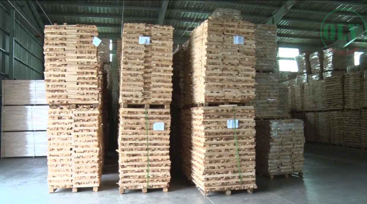Cho thuê xưởng ngành gỗ 20.000m2 ở Gò Dầu, Tây Ninh – Máy móc có sẵn