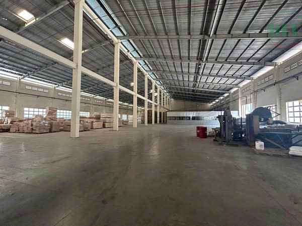 Cho thuê xưởng ngành gỗ 20.000m2 ở Gò Dầu, Tây Ninh – Máy móc có sẵn