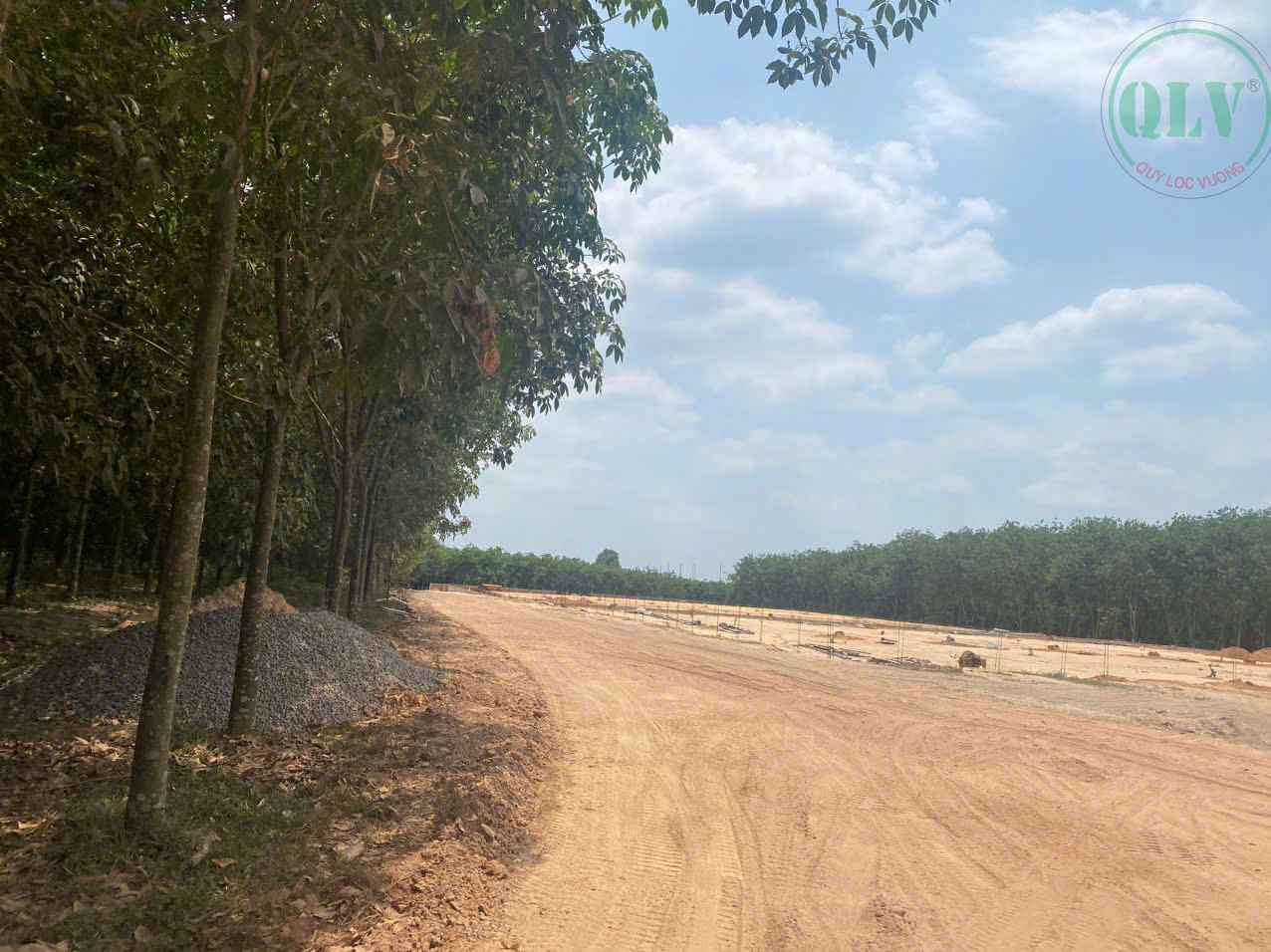 Cho thuê xưởng 3.906m2 và 3.472m2 ở Long Nguyên, Bàu Bàng, BD, 65.000/m2