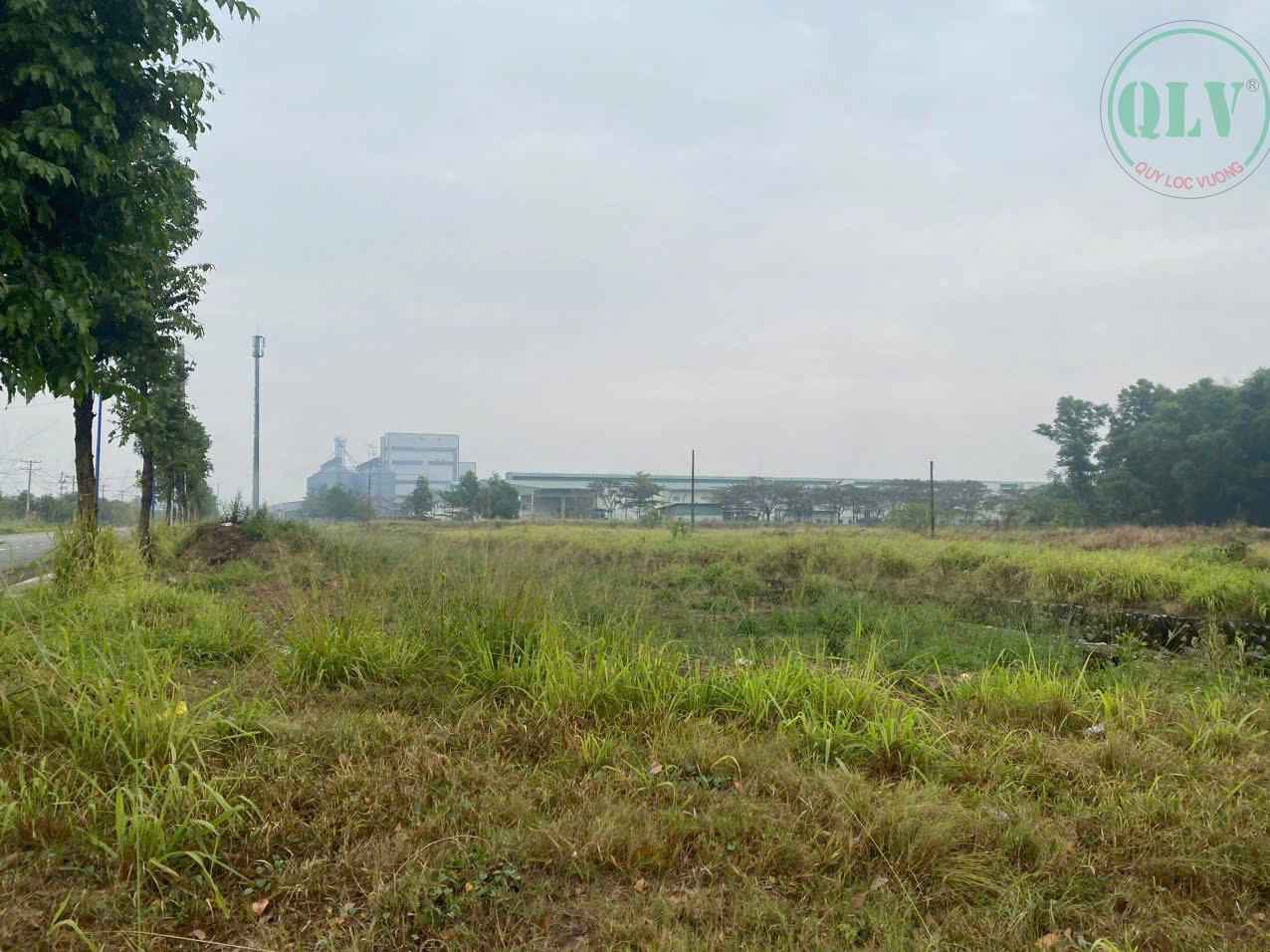 Bán đất xây xưởng 28.000m2 tại Phường Hòa Phú, Thủ Dầu Một, 5.2 triệu/m2