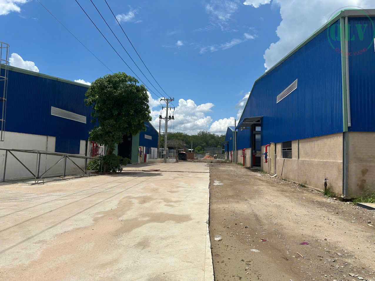 ho thuê 5 xưởng tổng dt 11.520m2 ở Phước Hòa, Phú Giáo, BD, 2.2 USD/m2