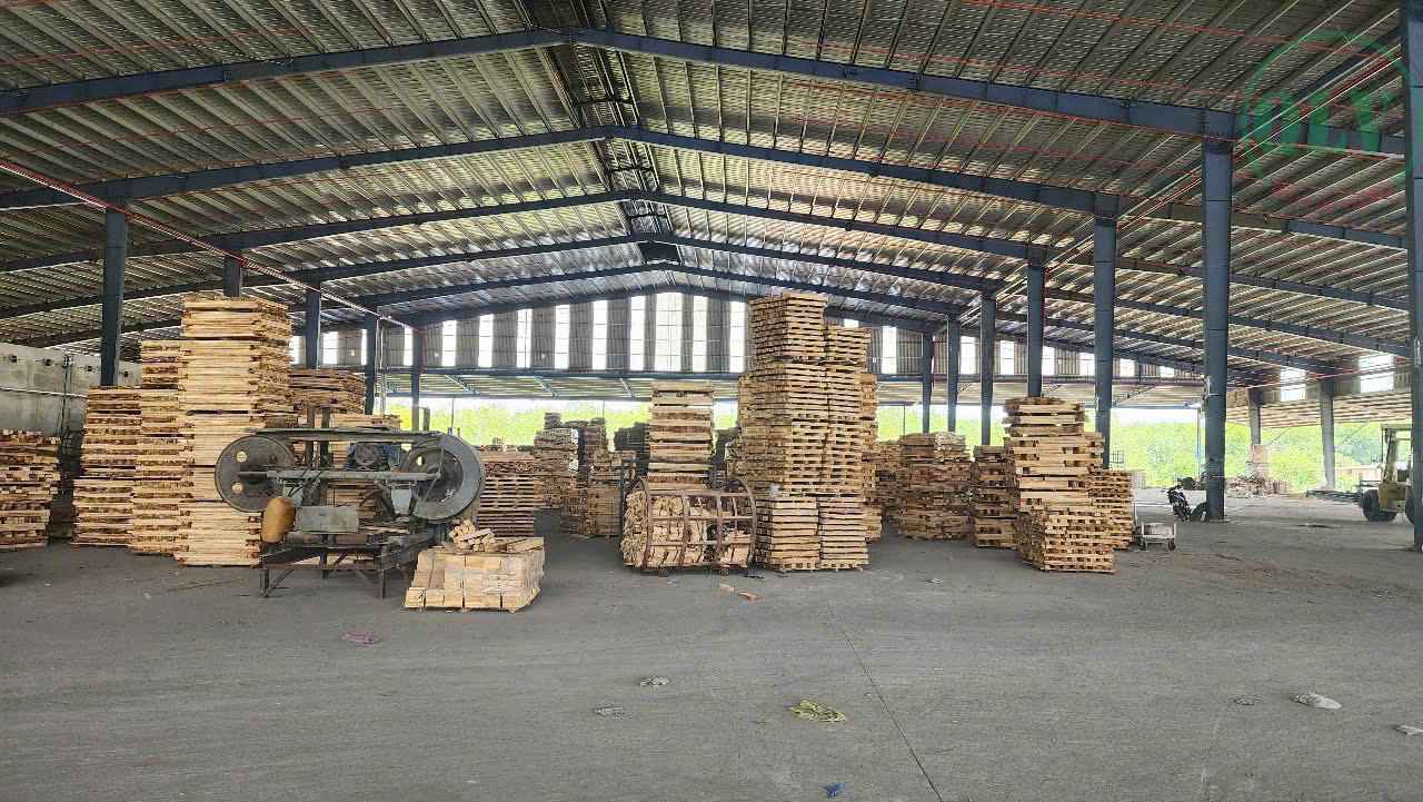 Cho thuê xưởng 10.800m2 tại Chơn Thành, Bình Phước, có lò sấy, nồi hơi, máy cưa
