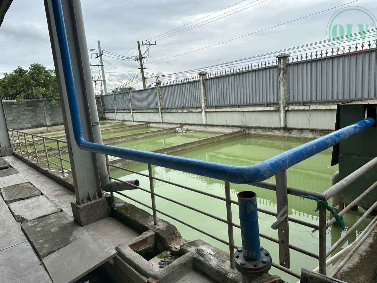 Cho thuê xưởng 2.520m2 ở Khánh Bình, Tân Uyên, Bình Dương có cẩu trục 5T