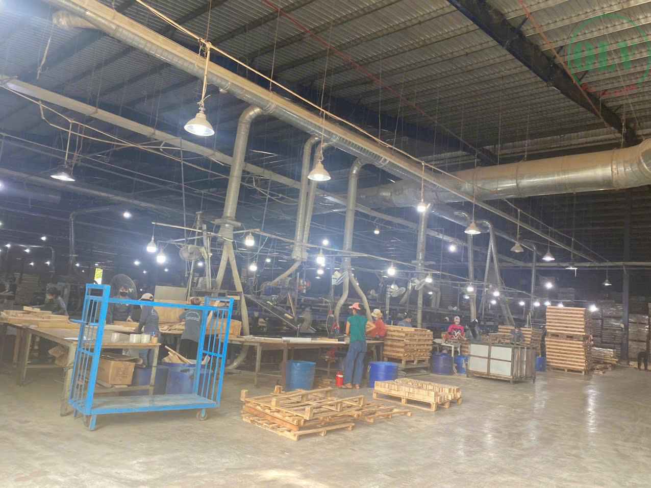 Cho thuê xưởng cưa, xẻ, sấy, tẩm 14.592m2 ở KCN Chơn Thành, BP