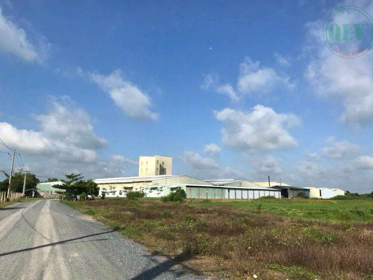 Bán xưởng Tây Ninh khuôn viên 116.500m2, xưởng đẹp, hạ tầng hoàn chỉnh tại Gò Dầu