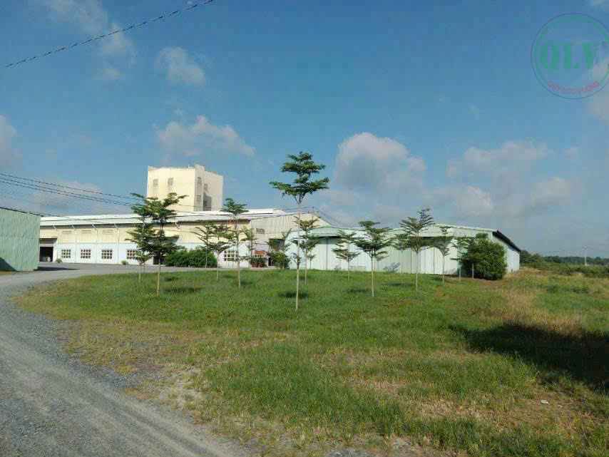 Bán xưởng Tây Ninh khuôn viên 116.500m2, xưởng đẹp, hạ tầng hoàn chỉnh tại Gò Dầu