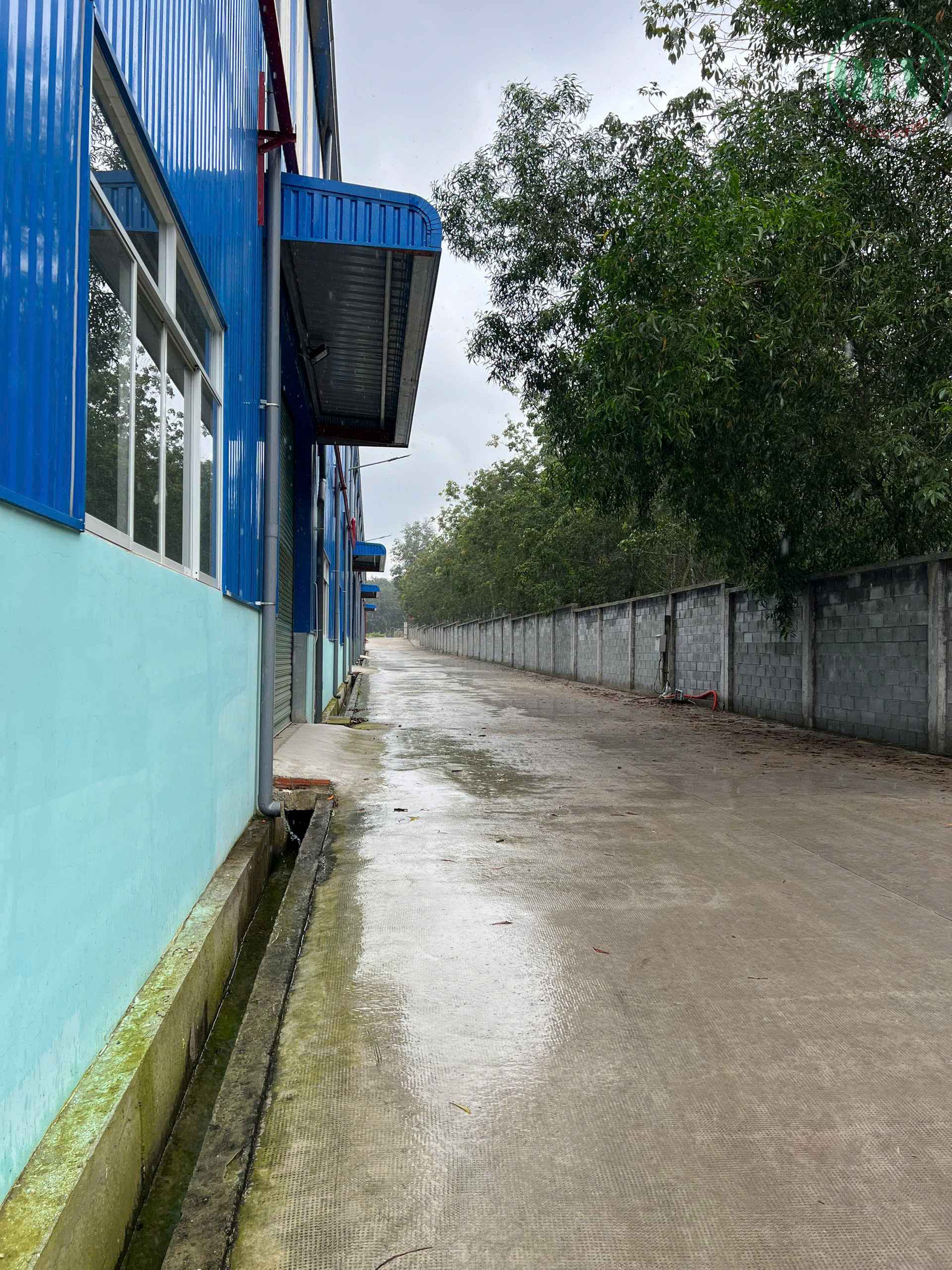 Cho thuê nhà xưởng TP.HCM, xưởng đẹp, trạm điện 630KVA, chỉ 2,2 USD/m²