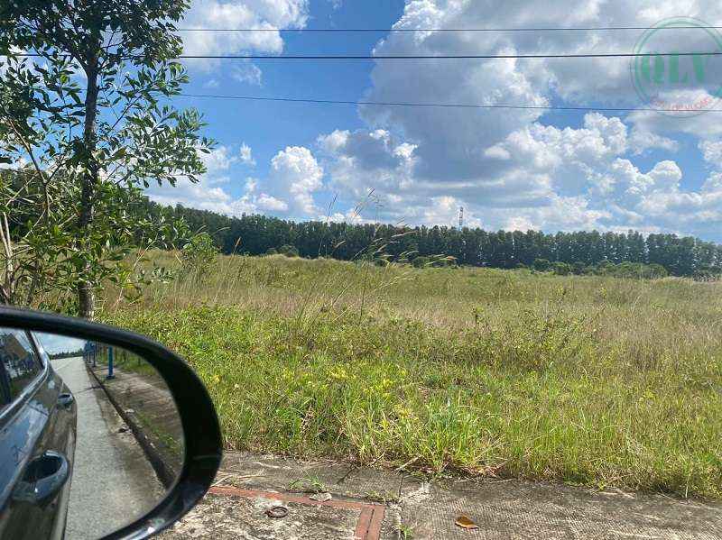 Bán đất khu công nghiệp Bàu Bàng Bình Dương